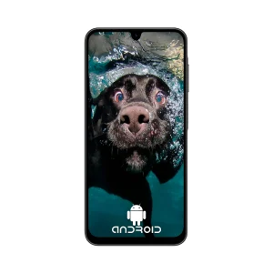 CELULAR SAMSUNG GALAXY SM-A26